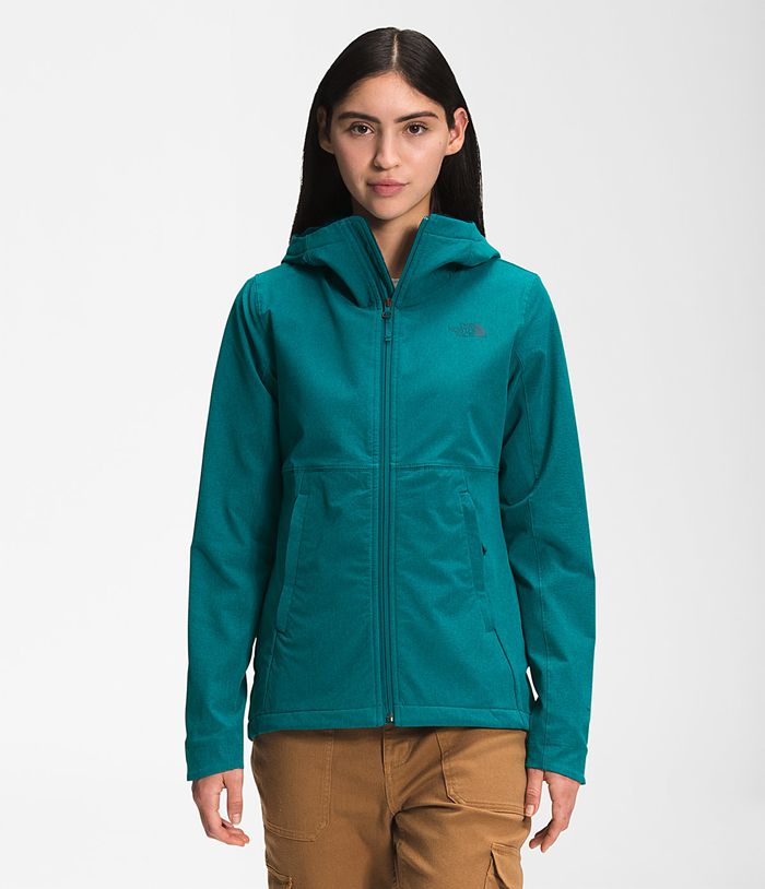 The North Face Softshell Jacket Shelbe Raschel Hoodie Green - Womens - Thailand OJFAI-6098